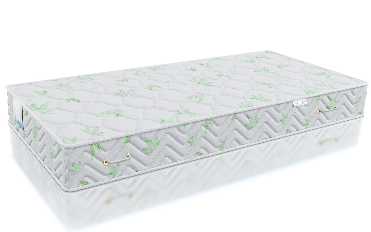 Alitte Naturalis Bauer TFK MH-25-N фото 3